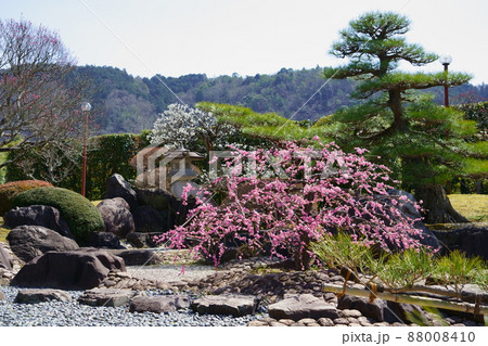 日本庭園・梅園 88008410