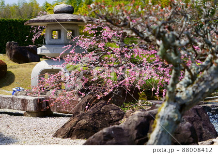 日本庭園・梅園 88008412