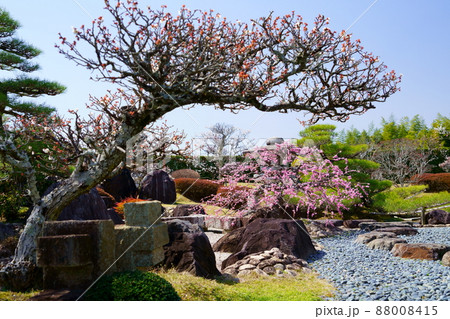 日本庭園・梅園 88008415