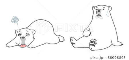 元気のないシロクマ バテる へたり込む ぐったり 座り込む 倒れ込む 元気のないシロクマ バテる へたり込む ぐったり 座り込む 倒れ込む 88008893