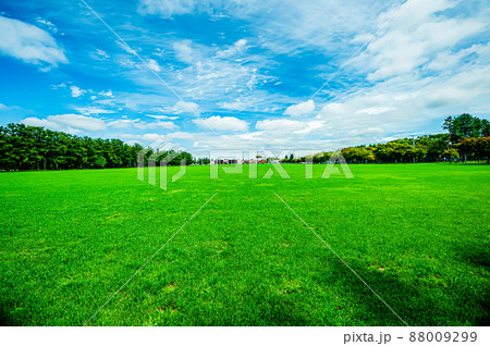 帯広 緑ヶ丘公園と快晴の空と芝生 帯広 緑ヶ丘公園と快晴の空と芝生 88009299