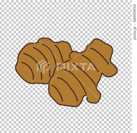 しょうが 農産物 イラスト しょうが 農産物 イラスト 88009950