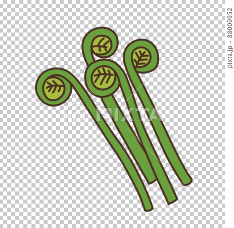 ぜんまい 農産物 イラスト ぜんまい 農産物 イラスト 88009952