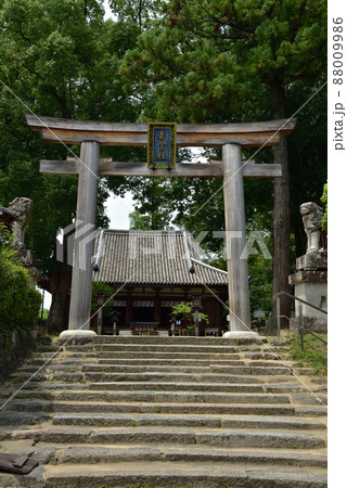 大直禰子神社の鳥居 大直禰子神社の鳥居 88009986