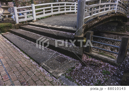 200427護国神社桜038 88010143