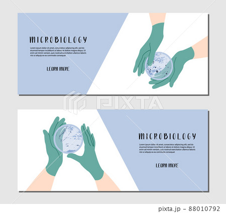 Scientist's hand in glove holding Petri dish, plate with agar, bacterial colony. Bacteriology. Microbiology. Laboratory test, bacteriological swab, chemical analysis. Vector flat cartoon illustration 88010792