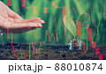 A hand is pouring water onto the soil with coins on it 88010874
