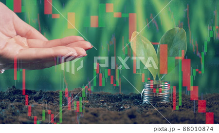 A hand is pouring water onto the soil with coins on it A hand is pouring water onto the soil with coins on it 88010874