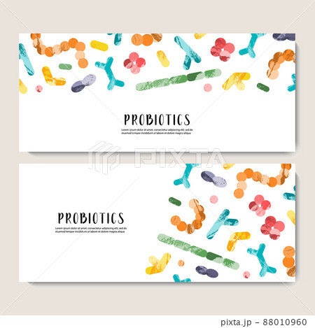 Probiotics. Lactic acid bacteria. Good bacteria and microorganisms for gut and intestinal flora health. Microbiome. Bifidobacterium, lactobacillus,  lactococcus, thermophilus streptococcus, 88010960