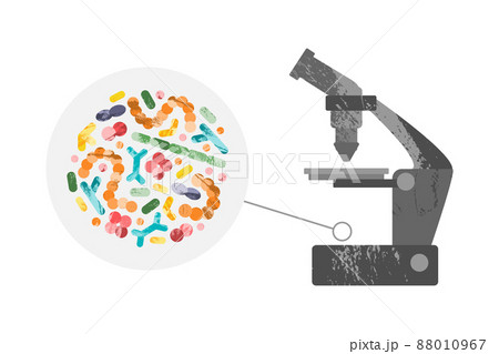 Probiotics. Lactic acid bacteria. Good bacteria and microorganisms for gut and intestinal flora health. Microbiome. Bifidobacterium, lactobacillus,  lactococcus, thermophilus streptococcus, 88010967