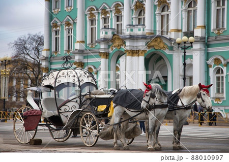 エルミタージュ美術館　サンクトペテルブルク　ロシア 88010997