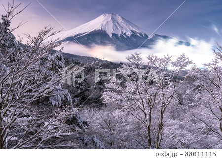 《山梨県》冬の富士山・積雪の二十曲峠 88011115