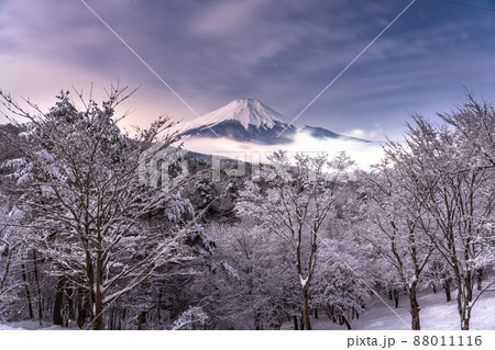 《山梨県》冬の富士山・積雪の二十曲峠 88011116
