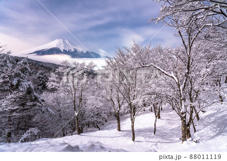 《山梨県》冬の富士山・積雪の二十曲峠 88011119