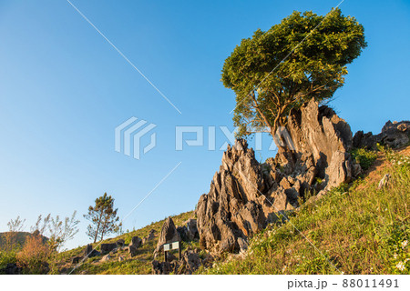 Beautiful stone forest of odd shaped stones and rocks on Doi Pha Tang a high mountain cliff over Thai-Laotian border an area is one of the most stunning place in Chiang Rai province, Thailand. 88011491