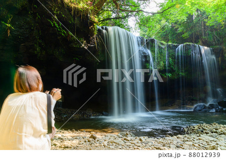 鍋ケ滝「新緑・初夏」水のカーテン風景2021年(7月) 鍋ケ滝「新緑・初夏」水のカーテン風景2021年(7月) 88012939
