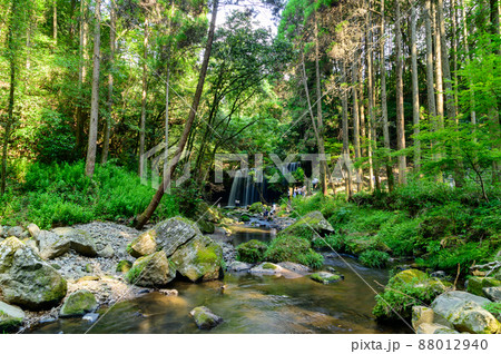 鍋ケ滝「新緑・初夏」森林から水のカーテン風景2021年(7月) 鍋ケ滝「新緑・初夏」森林から水のカーテン風景2021年(7月) 88012940