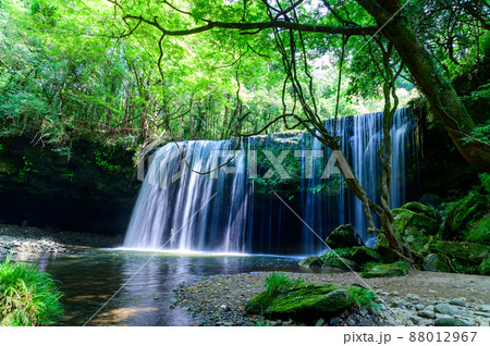 鍋ケ滝「新緑・初夏」水のカーテン風景2021年(7月) 88012967