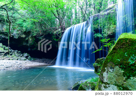 鍋ケ滝「新緑・初夏」水のカーテン風景2021年(7月) 88012970