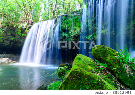 鍋ケ滝「新緑・初夏」水のカーテン風景2021年(7月) 88012991