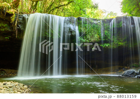 鍋ケ滝「新緑・初夏」水のカーテン風景2021年(7月) 鍋ケ滝「新緑・初夏」水のカーテン風景2021年(7月) 88013159