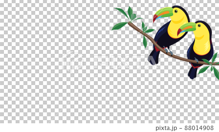 サンショクキムネオオハシのイラスト_フレーム_16:9 88014908