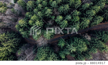 Aerial view of narrow road in the forest. Aerial view of narrow road in the forest. 88014917
