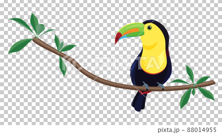 Illustration of Keel-billed Toucan 88014955