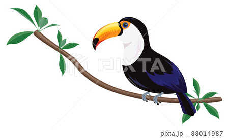 オニオオハシのイラスト 88014987