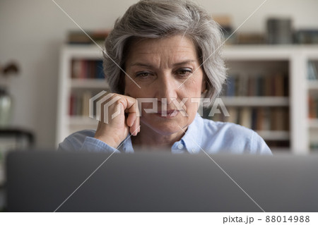 Close up serious concentrated middle-aged woman staring at laptop 88014988