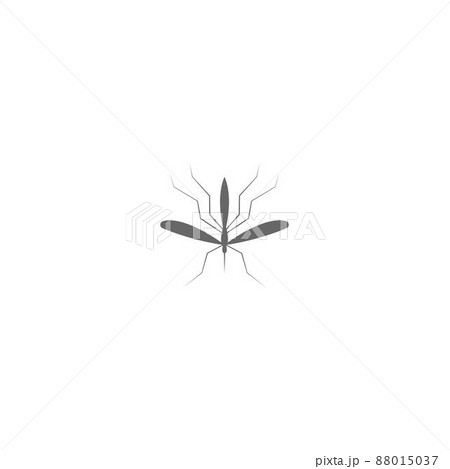 Mosquito icon flat design template vector illustration Mosquito icon flat design template vector illustration 88015037
