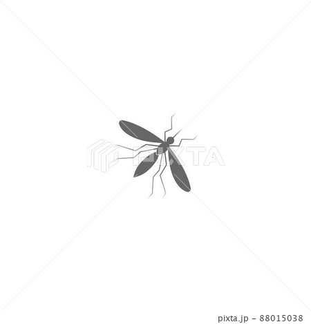 Mosquito icon flat design template vector illustration Mosquito icon flat design template vector illustration 88015038