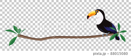 オニオオハシのイラスト_フレーム_木の枝のライン 88015080