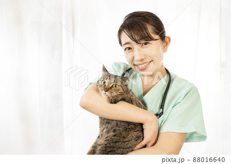 猫を抱く女性獣医師 猫を抱く女性獣医師 88016640