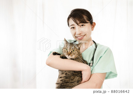 猫を抱く女性獣医師の写真素材
