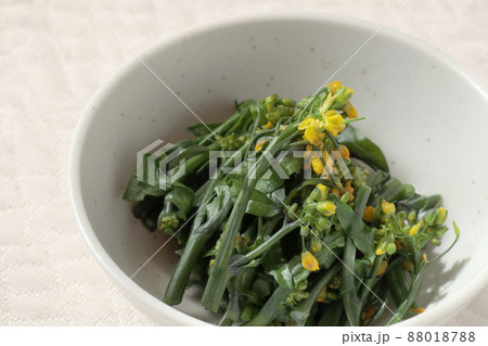 紅菜苔（こうさいたい）のお浸し（手料理） 88018788