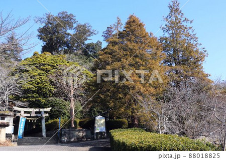 月隈公園の風景 月隈公園の風景 88018825