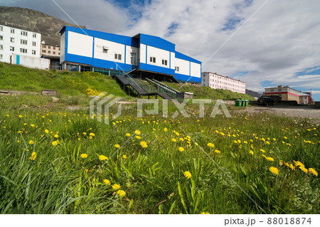 Summer view of a shop and residential buildings in an arctic settlement Summer view of a shop and residential buildings in an arctic settlement 88018874