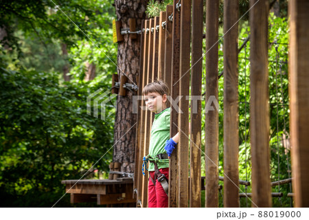 Strong excited young boy playing outdoors in rope park. Caucasian child dressed in casual clothes and sneakers at warm sunny day. Active leisure time with children concept Strong excited young boy playing outdoors in rope park. Caucasian child dressed in casual clothes and sneakers at warm sunny day. Active leisure time with children concept 88019000