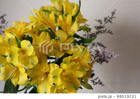黄色アストロメリアの花を飾る 88019231