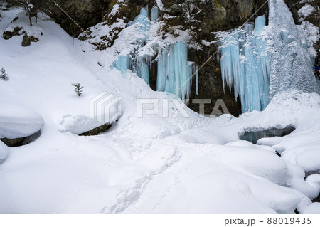 日光の氷瀑　庵滝 88019435