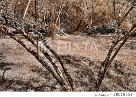 Hiking Trail Hiking Trail 88019653