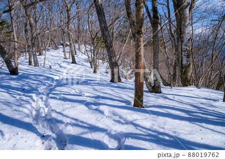 （山梨県）冬の黒岳・雪深い登山道 88019762