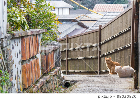 瀬戸の窯垣と猫達(愛知県瀬戸市) 瀬戸の窯垣と猫達(愛知県瀬戸市) 88020820