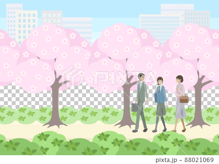 桜並木の下を歩く男女と学生 桜並木の下を歩く男女と学生 88021069