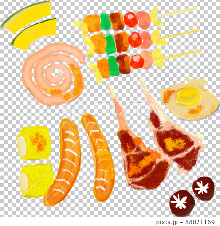 バーベキューの食材セットのイラスト バーベキューの食材セットのイラスト 88021169