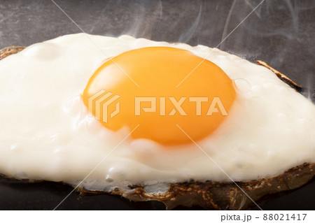 目玉焼き 目玉焼き 88021417