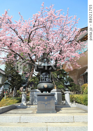 密蔵院　ギャラリー横の水掛け不動尊（埼玉県川口市安行原）　 88021705