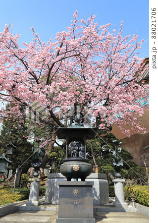 密蔵院 ギャラリー横の水掛け不動尊(埼玉県川口市安行原) 密蔵院 ギャラリー横の水掛け不動尊(埼玉県川口市安行原) 88021706