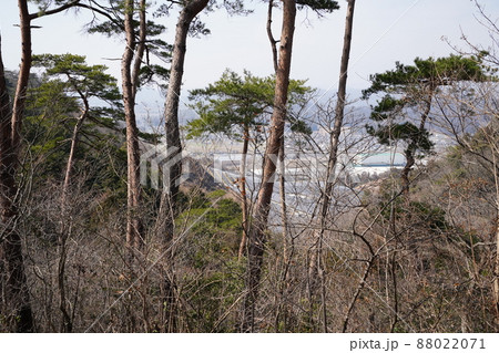 唐沢山神社から諏訪岳に向かう低山ハイキングコース　コースの北側は随所で東武佐野線沿いの町が見える 88022071